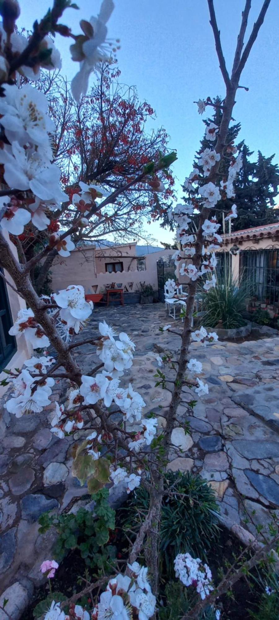 Los Arcabuceros Casa Hotel Boutique Tilcara Bagian luar foto